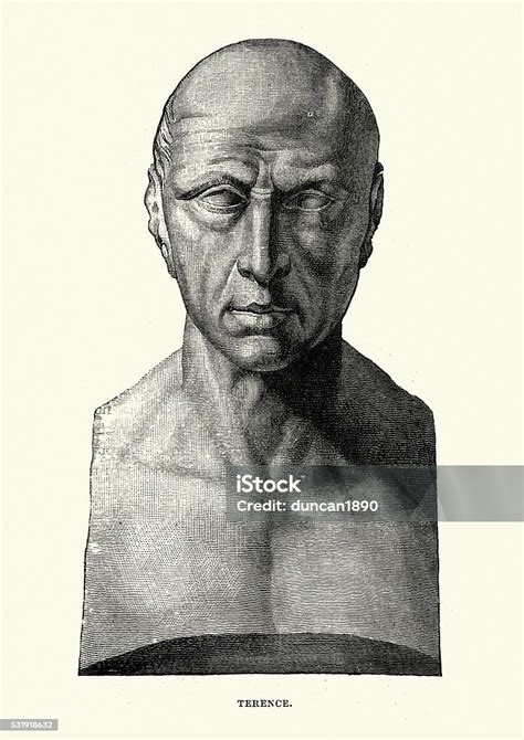 Portrait Of Terence Publius Terentius Afer Stock Illustration