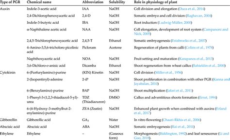 Plant Growth Regulators And Their Role In Tissue Culture Medium