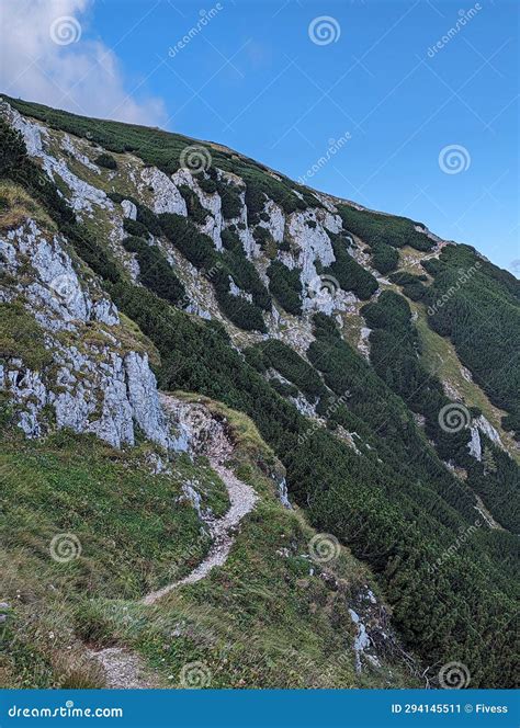 Hiking Mountain Trip on a Beautiful Day Stock Image - Image of mountain ...