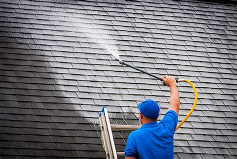 The Importance Of Roof Cleaning 5280 Ccs