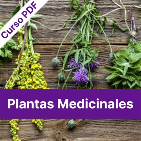 Plantas Medicinales Reiki Caricias