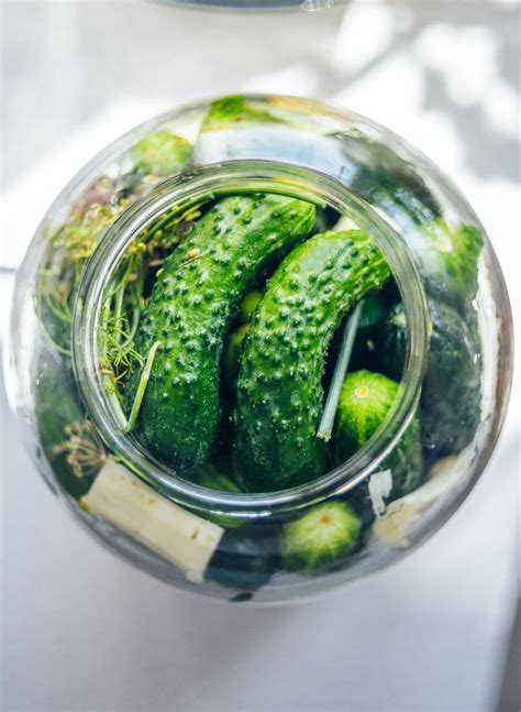 Boston National Pickling Cucumber Seeds Green Pickling Etsy