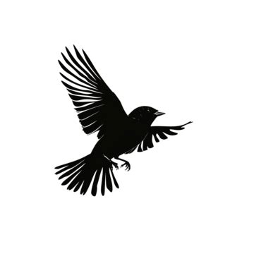 Flying Sparrow Illustration Clipart Bird Vector Illustration Clipart