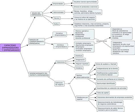 Un Mapa Conceptual Sobre Tipo De Emprendimiento Buscar Con Google Riset