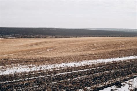 Zaorany Zdjęcia darmowe pobieranie na Freepik