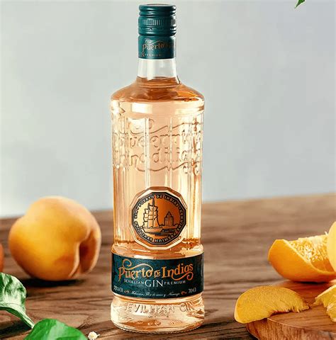 Puerto de Indias Spanish Peach Orange Ochutený Gin Svet nápojov