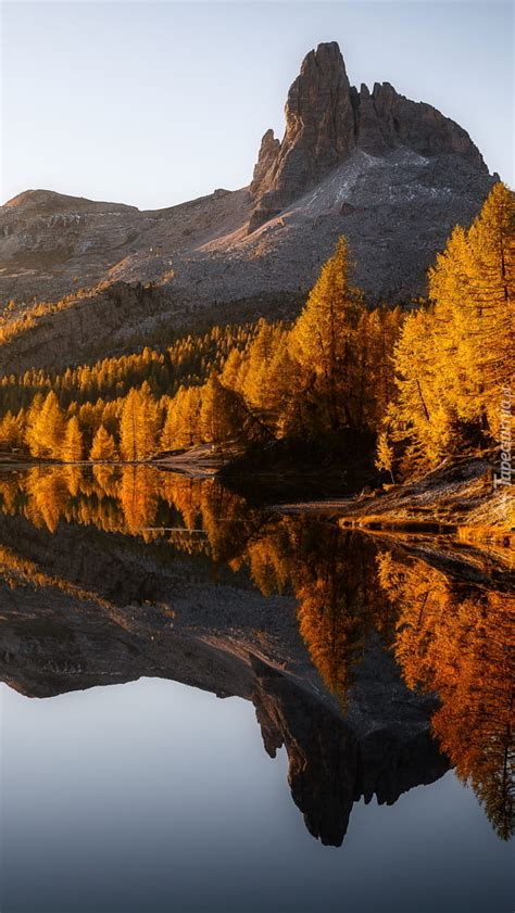 Po K E Modrzewie Nad Jeziorem Lago Federa I G Ry Cortina Dampezzo