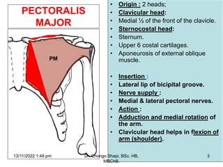 Pectoral Region Breast Anatomy By Shapi Md Pdf