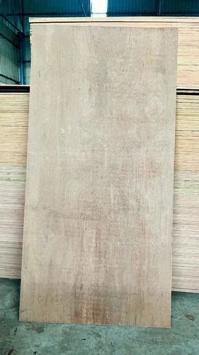 9 Mm Gurjan Face Plywood For Furniture 8x4 At 27 Sq Ft In Sampla