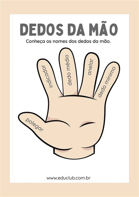 Nome Dos Dedos Da Mão Completo Educlub