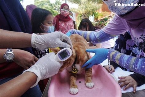 Vaksinasi Hewan Peliharaan Sambut Hari Rabies Sedunia Pikiran