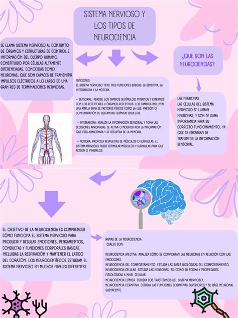 Organizador Gráfico Mapa Conceptual Orgánico Lila Pdf Neurociencia