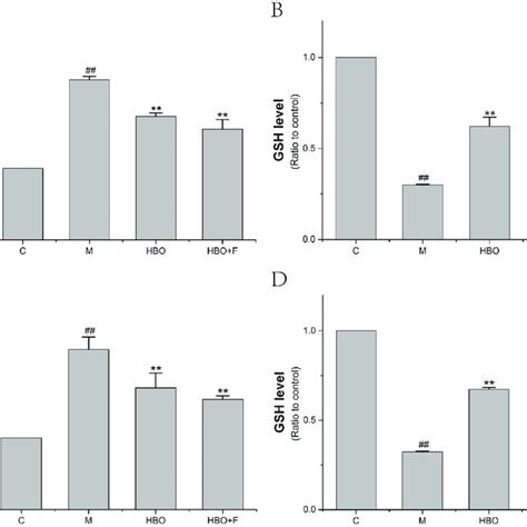 The Effect Of MDA And GSH Content Of HT22 Cells A B And PC12 Cells