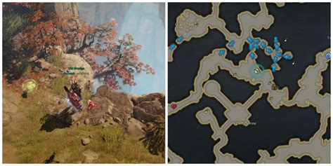 Where To Find Every Mokoko Seed In Prisma Valley In Lost Ark