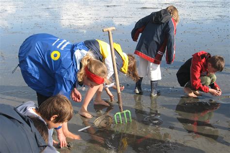 UNESCO Weltnaturerbe Wattenmeer Besucherzentrum Cuxhaven Nationalpark