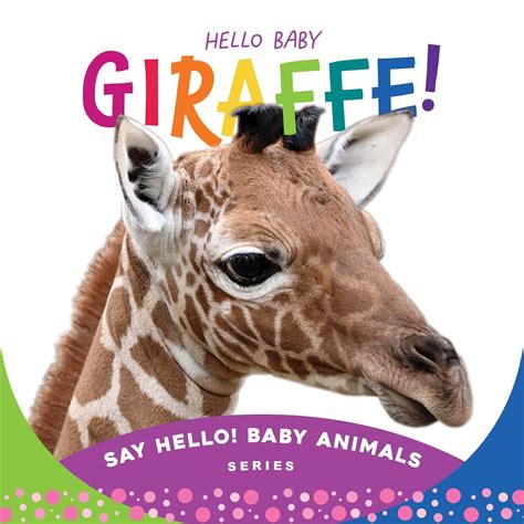 Buy Hello Baby Giraffe Monograph Series Any Say Hello Baby Animals