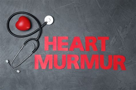 Heart Murmurs: Causes, Symptoms, Diagnosis, and Treatment