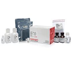 RNAqueous 96 Total RNA Isolation Kit