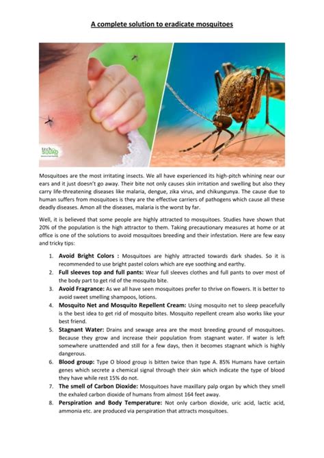 Ppt A Treat For Mosquitoes Powerpoint Presentation Free Download