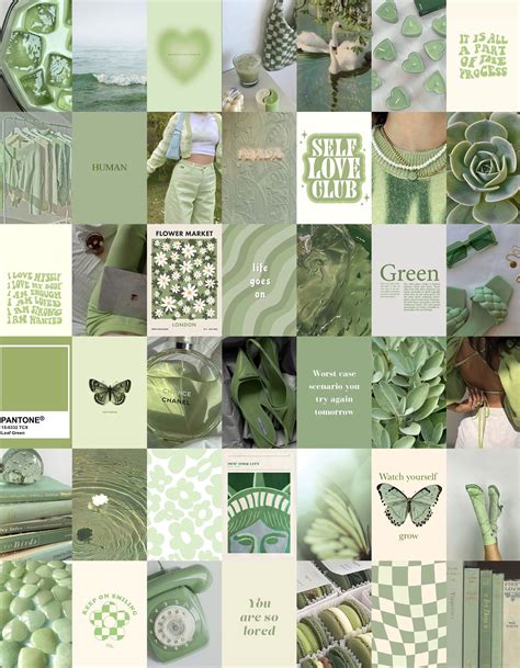 Sage Green Aesthetic Wall Collage Kit Botanical Sage Green Etsy Artofit