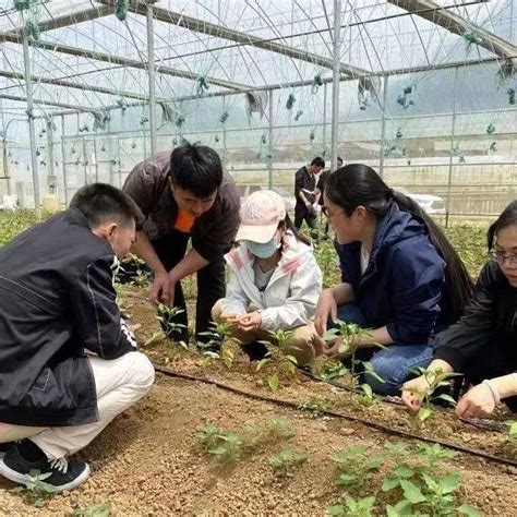 【牢记初心使命 展现“三农”风采 喜迎二十大】：一名农业产业指导员的农技服务日志工作稻种处理