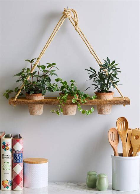 Diy Plant Hanger Ideas