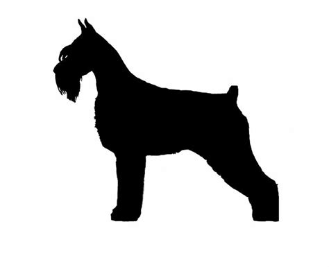 Miniature Schnauzer Silhouette At Getdrawings Free Download