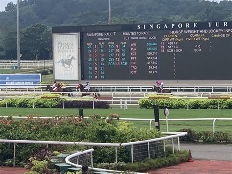 I As A Gen Z Went To The S Pore Turf Club In Kranji For The Vibe The