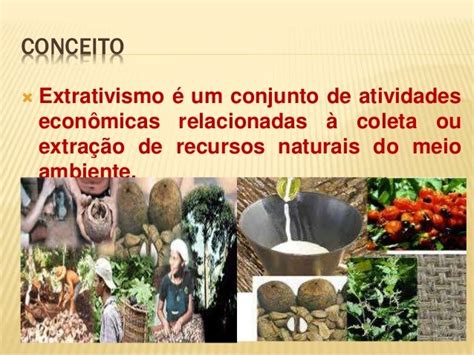 Extrativismo vegetal e mineral
