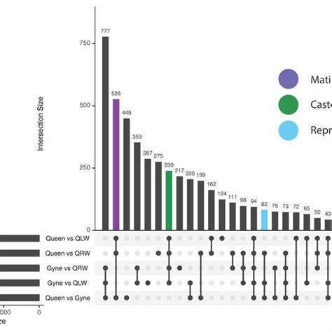 Upset Plot Showing The Overlap Of Differentially Expressed Genes In