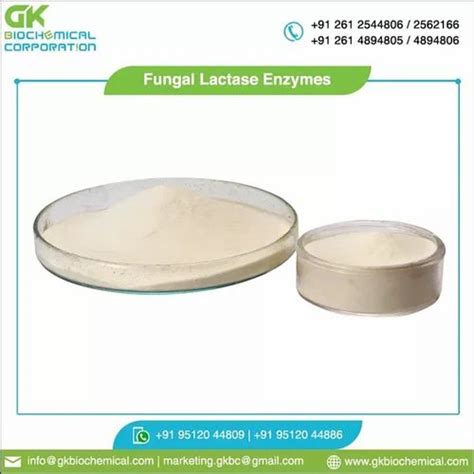 Lactase Enzyme Powder Packaging Size Kg Bag Or Hdpe Drum At Rs