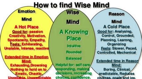 Dbt Lesson 1 5 Mindfulness Wise Mind Worksheet And 56 Off