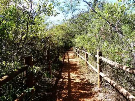 Estação Ecológica da Serra das Araras Fotos e Imagens Turismo