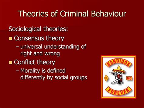 The Nature Of Crime Chapter Ppt Download