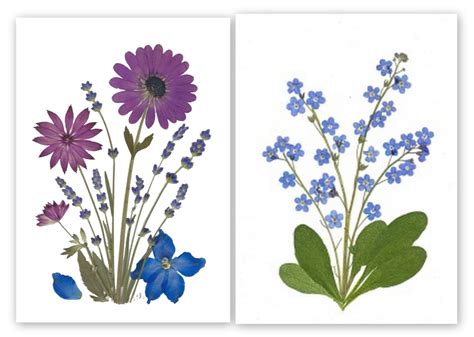 Pressed Flower Cards 6 Assorted Printed Notecards Gift - Etsy