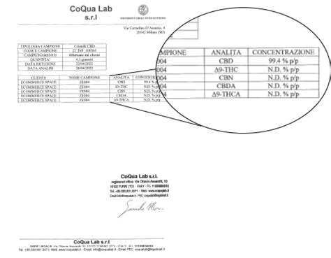 Shatter Cbd Black L Extrait De Pur Cbd En Gros Justbob Grossiste