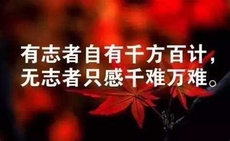 微信正能量心靈雞湯經典人生感悟語錄勵志 最勵志的16句哲理短句 每日頭條