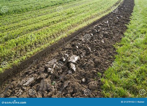 Furrow stock image. Image of season, clod, furrow, farming - 21379153