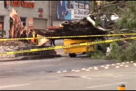 Fuertes lluvias en Puebla dejan saldo de 16 árboles caídos y ocho heridos