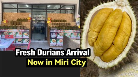 Fresh Durians Arrival Now In Miri City Miri City Sharing