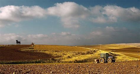 España camina hacia una agricultura sin agricultores si se impone el