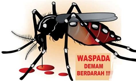 Waspada Bahaya Penyakit DBD Di Prabmulih Dikabarkan Menelan Korban Jiwa