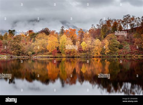 Reflection Of Trees With Autumn Colours And Cloudy Sky In The Water