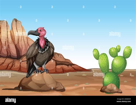 Vulture In Background Hi Res Stock Photography And Images Alamy