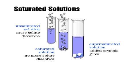 Experiment: Make Saturated and Unsaturated Solutions - QS Study