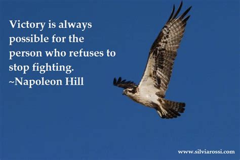 Daily Quote Victory Is Always Possible For The Person Who Refuses To Stop Fighting~napoleon