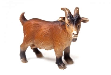 Free Stock Photo Of Goat Plastic Toy For Kids Download Free Images