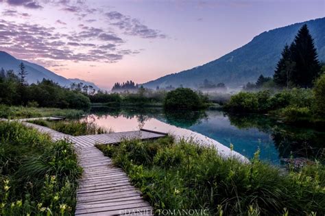 All You Need To Know To Visit The Zelenci Nature Reserve In Slovenia