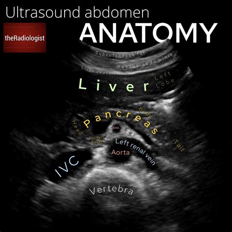 Theradiologist On Twitter Ultrasound Abdomen Upper Abdominal Ultrasound Anatomy With A View Of