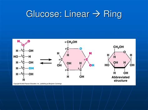 Ppt Organic Molecules Powerpoint Presentation Free Download Id 201815